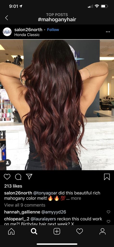 Rich Chocolate Cherry Brown Hair, Brown Hair With Reddish Tones, Blackberry Highlights On Brown Hair, Dark Hair With Tint Of Red, Chocolate Burgundy Hair Brunettes, Dark Brown Burgundy Balayage, Dark Hair Color Ideas Red Tint, Chocolate Brown Hair With Hint Of Red, Chocolate Mohagany Hair