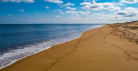 Plum Island Massachusetts, Plum Island, Beer Float, Vacation Places, Relaxing Day, Beach Vibes, Beach Bum, State Of Mind, Beach Vibe