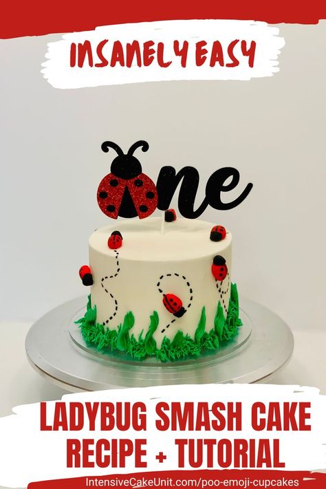 Ladybug first birthday smash cake; decorated with ladybug topper, fondant ladybugs, and frosting grass and leaves Poo Emoji Cupcakes, Ladybug Smash Cake, Ladybug Birthday Cake, Smash Cake Recipe, Smash Cake Ideas, Diy Ladybug, Emoji Cupcakes, Smash Cake Recipes, Bug Cake