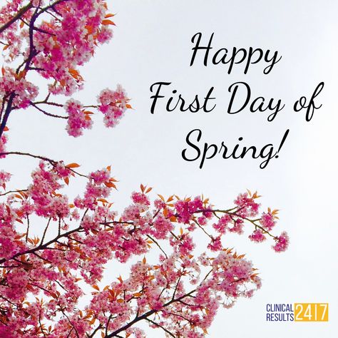 1st Day Of Spring Quotes, Happy 1st Day Of Spring, Happy Spring Day, 1st Day Of Spring, Summer Scenery, Obx Nc, Happy First Day Of Spring, Daily Wishes, Obx Vacation