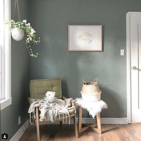 Village Green - Behr Behr Village Green, Behr Sage Green Paint, Gray Green Paint Colors, Green Front Door, Green Grey Paint, Green Wall Color, Interior Wall Colors, Village Green, Green Paint Colors