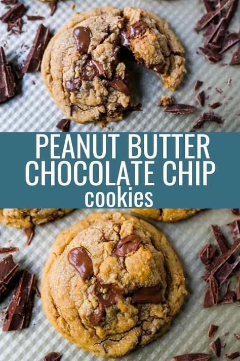 Soft Chewy Peanut Butter Cookies, Peanut Butter Cookies With Chocolate, Chocolate Chip Cookies Soft, Chocolate Marshmallow Cookies, Healthy Peanut Butter Cookies, Butter Cookies Easy, Chocolate Chip Shortbread Cookies, Best Peanut Butter Cookies, Cookies With Chocolate