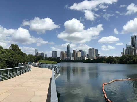 Enjoy a casual 10-mile bike ride for a fresh perspective on this great city. You may even learn something new about Lady Bird Lake. Austin Skyline, Zilker Park, Tree Tunnel, Lady Bird Lake, Hidden Places, Downtown Austin, Twin Falls, Lady Bird, Texas Hill Country