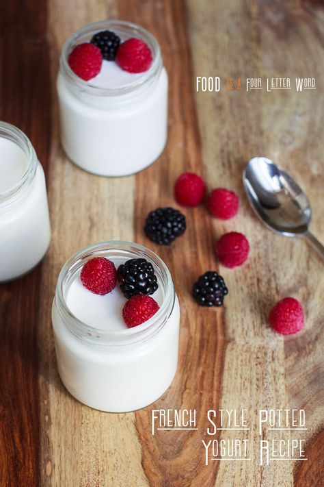 Oui Vanilla French Yogurt Copycat Recipe – FOOD is Four Letter Word French Yogurt Recipe, Parfait Yogurt, Pancakes Yogurt, Yogurt Biscuits, Chicken Yogurt, Smoothies Yogurt, Yogurt Ideas, French Yogurt, Instant Pot Yogurt