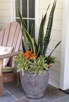 Porch Plants, Patio Flowers, Container Garden Design, Potted Plants Outdoor, Garden Decor Projects, Garden Containers, House Plants Decor, Container Garden, Garden Flowers