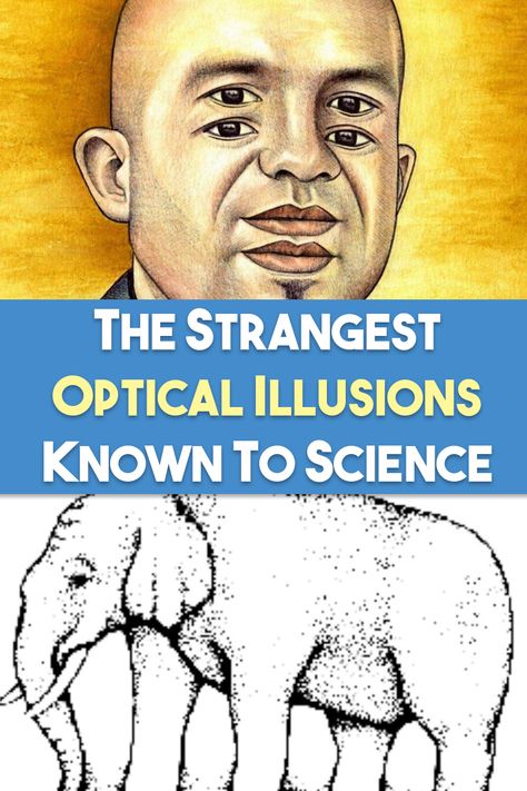 The world around us is full of visual trickery... Mind Illusions, Paper Helmet, Random Patterns Drawing, Moving Optical Illusions, Op Art Lessons, Physics Projects, Wierd Facts, Classy Room, Nerdy Humor