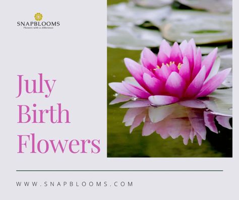 July Tattoo Ideas Birth Month, July Birth Flower Tattoo Water Lilies, Waterlily Tattoos July, July Flower Tattoo Birth Month, July Birth Flowers, Larkspur And Water Lily, July Tattoo Ideas, July Birth Flower Tattoo, July Zodiac