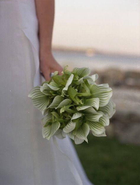 Cute Trumpet Vase Centerpiece, Variegated Hosta, Unique Bridal Bouquets, Green Wedding Bouquet, Dresses Photography, Green Wedding Inspiration, Green Bouquet, Ikebana Flower Arrangement, Wedding Photo Gallery