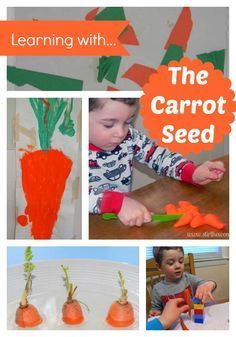 The Carrot Seed Activities, Seed Activities, Preschool Food, Preschool Garden, Literature Activities, Garden Activities, Carrot Seeds, Preschool Books, Preschool Theme