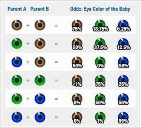 The way DNA is passed from generation to generation is fascinating. Here's a look at how eye color is inherited. Want to know more about what you inherited from your ancestors? Take an Ancestry.com AncestryDNA test and learn more about your ethnicity. #ancestry #ancestrydna #dna #genealogy Baby Eyes, Zodiac Mind, Charles Darwin, Totally Me, The More You Know, Cool Stuff, Things To Know, 그림 그리기, Writing Tips