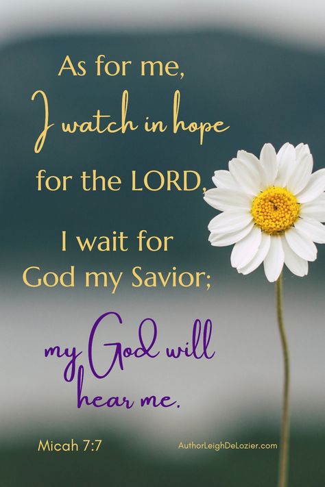 No matter how dark or hopeless things might seem, God is there -- He sees and hears us. As for me, I watch in hope for the LORD, I wait for God my Savior; my God will hear me (Micah 7:7) #Bibleverse #hope #hopefulness #Godishope #Godseesus #devotional #Christianity #Christianpost Hope In The Lord Scriptures, Hope In The Lord Quotes, My Hope Is In You Lord, Micah 7:7 Scriptures, Flower Bible Verse, Micah 7 7, Lord Quote, Christmas Hope, October Quotes