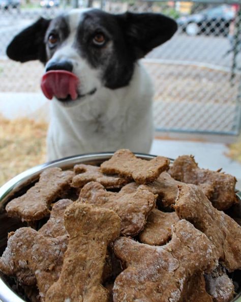 Spent Grain Recipes, Spent Grain Dog Treats, Dehydrator Dog Treats, Making Dog Treats, Spent Grain, Animal Treats, Beer Food, Cooking With Beer, Doggie Treats