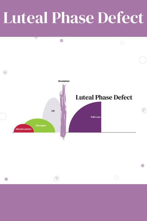 Luteal Phase Defect, Luteal Phase Food, Short Luteal Phase, Low Progesterone, Luteal Phase, Women's Health, Health Issues, Womens Health, Fertility