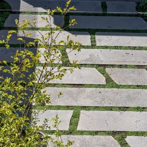 Bamstone Bluestone on Instagram: "Middle Park courtyard landscaping project featuring large natural bluestone billets. Landscaper: @vogue.grange. Architect: @bg_architecture. Landscape design: @andymurraylandscapedesign." Courtyard Landscaping, Architecture Landscape, October 27, Landscape Projects, Landscape Design, Landscaping, Layout, Vogue, Architecture