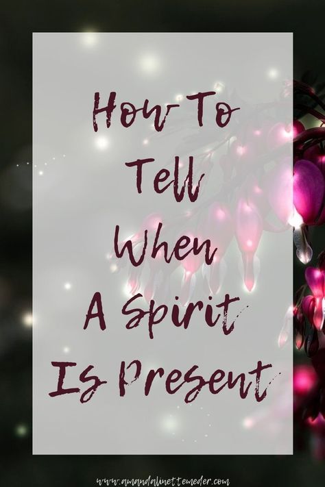 How Do You Know When A Spirit Is Present? — Amanda Linette Meder How To Talk With Spirits, How To Talk To Spirits Witchcraft, Sensing Energy, How To Talk To Your Spirit Guides, Physic Medium, Signs A Spirit Is Trying To Contact You, Spooky Buildings, Talk To Spirit Guides, Channeling Spirits