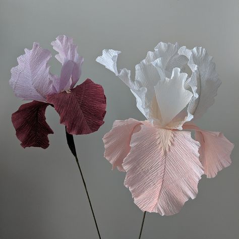 Downloadable Crepe Paper Iris Template/pdf Printable Download/diy Paper Flower Template/paper Iris Template/bearded Iris Template Tutorial - Etsy Australia Paper Iris, Big Paper Flowers, Crepe Paper Flowers Diy, Door Display, Iris Flower, Paper Flower Template, Leaf Crafts, Crepe Paper Flowers, Paper Flower Bouquet