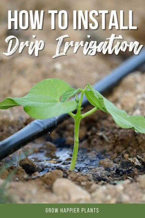 How to Install Drip Irrigation in Your Garden - growhappierplants.com Drip Line Irrigation, Drip Irrigation System Design, Irrigation System Design, Sprinkler System Diy, Water Irrigation System, Irrigation System Diy, Irrigation Diy, Drip Hose, Drip Irrigation Diy