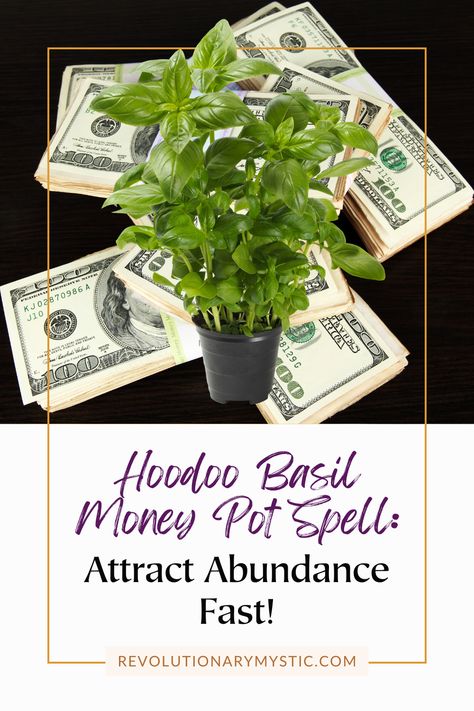 Step-by-step instructions on performing the Hoodoo Basil Money Pot Spell, using basil and intention to manifest wealth and financial prosperity. A powerful spell guide for those seeking abundance. Prosperity Ritual, Attract Wealth And Prosperity, Astrology Dates, Wild Magic, Hoodoo Magic, Celestial Tapestry, Conjure Oil, Revenge Spells, Jar Spells