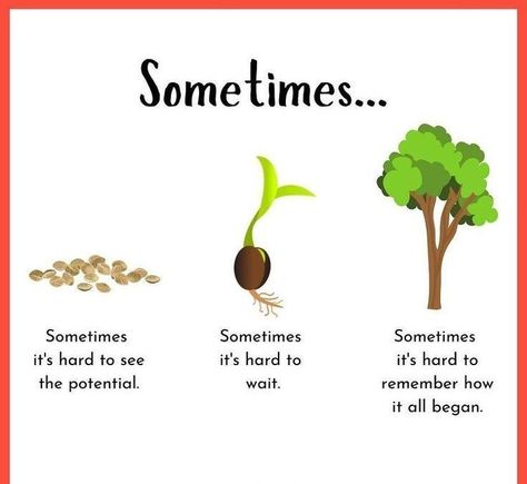 Planting Seeds Quotes, Seed Quotes, Start My Own Business, Programming Quote, Growing Quotes, Plants Quotes, My Own Business, Growth Quotes, Clever Quotes