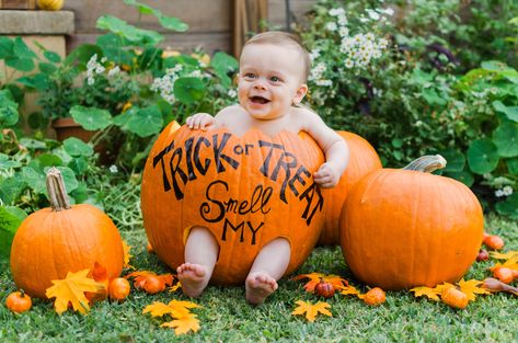 Halloween Baby Pictures, Fall Baby Photos, Fall Baby Pictures, Photo Bb, First Halloween Costumes, Baby Boy Halloween, Baby Milestones Pictures, Newborn Halloween