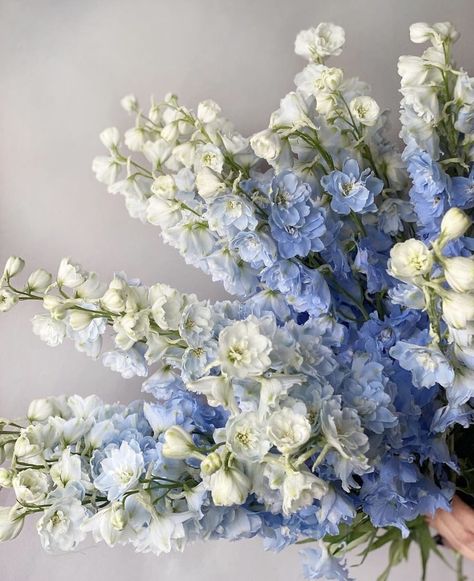 Delphinium Bouquet, Chrysanthemum Wedding, Iris Wedding, Periwinkle Flowers, Delphinium Flowers, Blue Delphinium, Boquette Flowers, Light Blue Flowers, Beautiful Bouquet Of Flowers