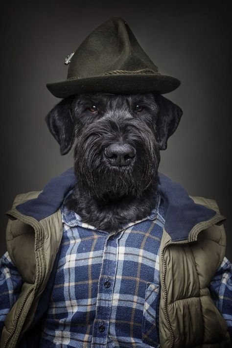 The one who is excited about fishing trips - 14 Photos Of Dogs Dressed In Human Clothing Based On Their Personalities Dog Wearing Clothes, Dressed Up Dogs, Photos Of Dogs, Animal Portraits Art, Dog People, Fluffy Dogs, Costumes Ideas, Dog Costumes, Arte Animal