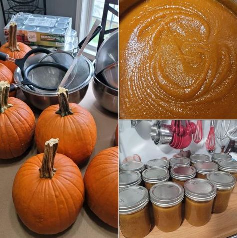 Fall Delight: Crafting Homemade Canned Pumpkin Butter for Seasonal Bliss How To Can Pumpkin Butter, Pumpkin Pie Filling Canning Recipe, Homemade Canned Pumpkin, Canned Pumpkin Butter, Pumpkin Butter Canning Recipe, Canning Fresh Pumpkin, How To Can Pumpkin Puree, Canning Pumpkin Butter, Pumpkin Canning