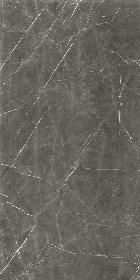 Florim Stone – Thorntree Slate Porcelain Countertops, Color Marble, Gray Marble, Calacatta Gold, Marble Wood, Concrete Wood, Marble Texture, Marble Colors, Grey Marble