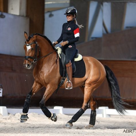 Holland And Cooper, Horse Riding Dressage, Dressage Aesthetic, Equestrian Eventing, Holland Cooper Equestrian, Holland And Cooper Equestrian, English Horseback Riding, Kingsland Equestrian, Holland Cooper