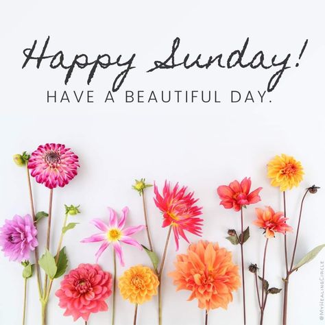 Happy Sunday Flowers, Crochet Pictures, Good Morning Sister Quotes, Morning Sister, Daily Wishes, Monday Morning Quotes, Sunday Greetings, Good Sunday Morning, Have A Blessed Sunday