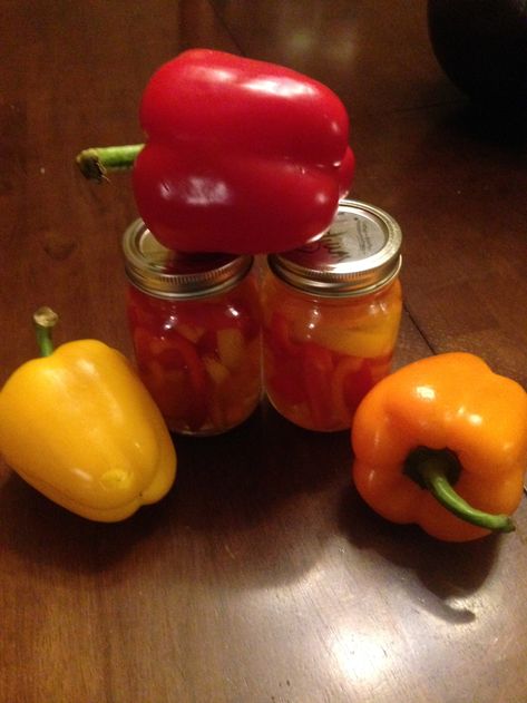 Quick and Easy Pickled Bell Peppers – Starrcreative.ca Pickled Sweet Red Peppers, Pickled Bell Peppers Canning, Yellow Jalapeno Peppers, Yellow Peppers Recipes, Orange Pepper Recipes, Pickled Bell Peppers, Canning Bell Peppers, Peppers Pickled, Pickled Sweet Peppers