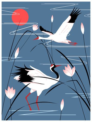 Crane Bird Drawing, Lake Illustration, Crane Painting, Crane Drawing, Crane Art, Grass Flowers, Coffee Artwork, Crowned Crane, Water Sunset