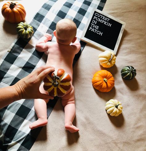 Cutest Pumpkin In The Patch, Milestone Photos, October Baby, Monthly Photos, Cute Pumpkin, Mama Bear, Crafts To Do, Baby Pictures, Pumpkin Patch