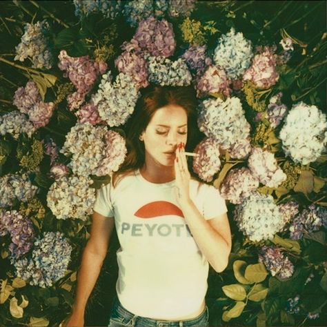 Lana Del Rey Lana Del Rey Pictures, Love Lana Del Rey, Affordable Honeymoon, Lana Del Rey Ultraviolence, Elizabeth Grant, Jungle Art, Honeymoon Tour, Great Books To Read, Dark Paradise