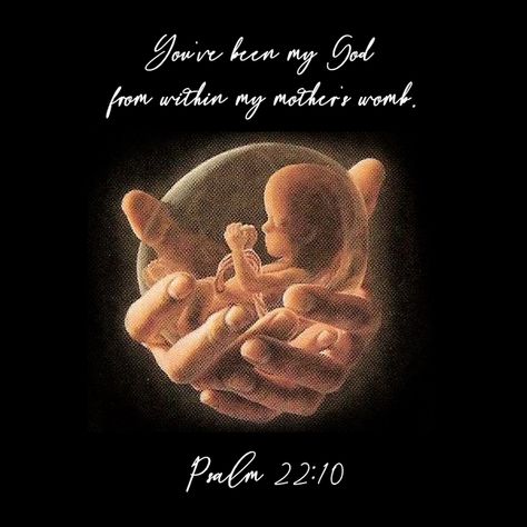 Bible scripture verse art quote You've been my God from within my mother's womb Psalm 22, Bible Psalms, Life Is Precious, Bible Quotes Images, Jesus Christus, Bible Truth, Favorite Bible Verses, My God, God Jesus