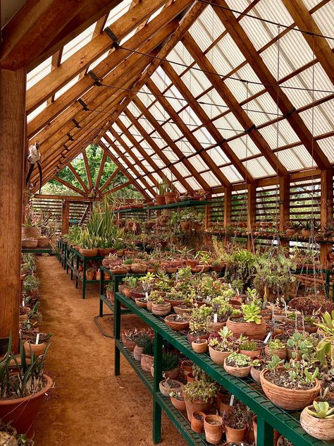 Framed Greenhouse, Greenhouse Addition, Farm Greenhouse, Greenhouse Cafe, Winter Greenhouse, Homestead House, Home Greenhouse, Cottage Garden Design, Greenhouse Plans