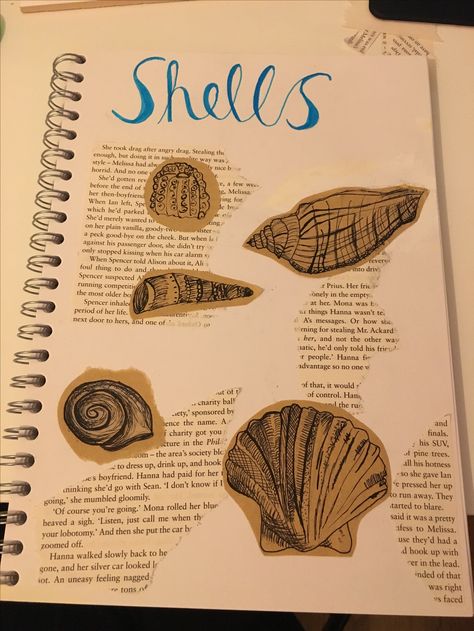 Shells Gcse Art Sketchbook Pages, Coastal Textiles, Natural Forms Gcse Title Page, Textiles Scrapbook, Natural Forms Gcse, Art Titles, Shell Book, Illustration Notebook, Gcse Sketchbook