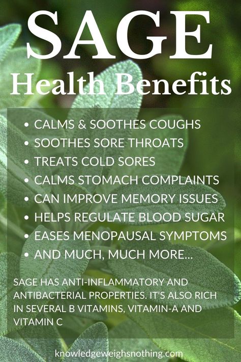 Sage Health Benefits, Homesteading Hacks, Sage Benefits, Easy To Grow Flowers, Growing Sage, Easy Herbs To Grow, Bushcraft Shelter, Shtf Preparedness, Sooth Sore Throat