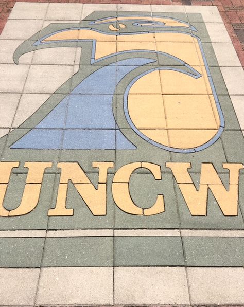 Unc Wilmington Aesthetic, North Carolina College Aesthetic, North Carolina University Aesthetic, North Carolina Wilmington, University Of North Carolina Wilmington, Unc Wilmington, North Carolina Colleges, St Andrews University, Coastal Carolina University