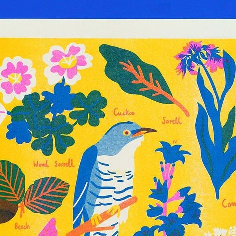 Naomi Wilkinson on Instagram: "🐥🌸🌼🌸🌼🐥  #illustration #floral #botanical #birds #birdsofinstagram #foraging" Naomi Wilkinson, Instagram Illustration, Retro Illustration, Floral Botanical, Creative Inspiration, Madagascar, Birds, Floral, On Instagram