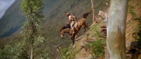 The Man From Snowy River, Man From Snowy River, Snowy River, Horse Movies, Morgan Horse, All About Horses, Appaloosa, Refined Style, Western Movies