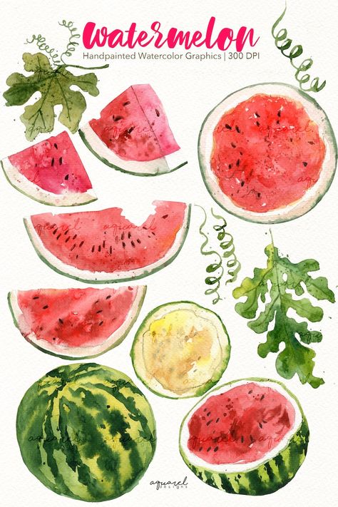 Watermelon Drawing Aesthetic, Tropical Fruit Painting, Summer Fruits Drawing, Watermelon Reference, Watermelon Paintings, Watercolor Fruit Paintings, Watermelon Sketch, Summer Watercolor Paintings, Fruits Artwork