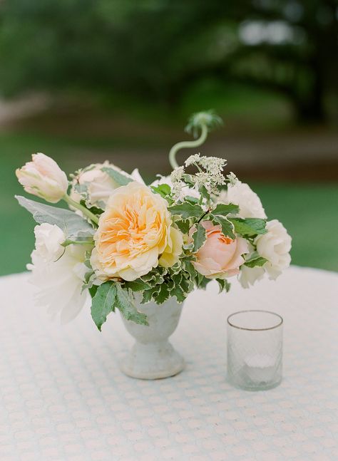 Cocktail Table Centerpieces, Monique Lhuillier Wedding, Monique Lhuillier Wedding Dress, Charleston Bride, Citrus Wedding, Palm Springs Wedding, Mod Wedding, Wedding Arrangements, Wedding Cocktails