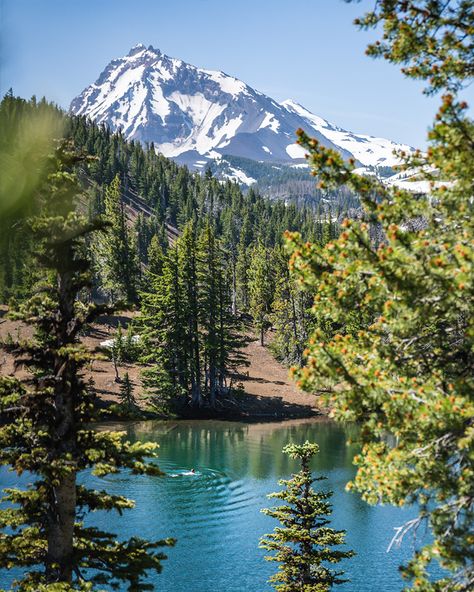 Bend’s top places to swim indoors and outdoors Nothing feels finer than dog-paddling in a mountain lake on a hot summer day as shimmering peaks dance on Oregon Summer, Sunriver Resort, Oregon Landscape, Oregon Trip, Oregon Vacation, Dog Friendly Hotels, American Road, Resort Pools, Senior Trip