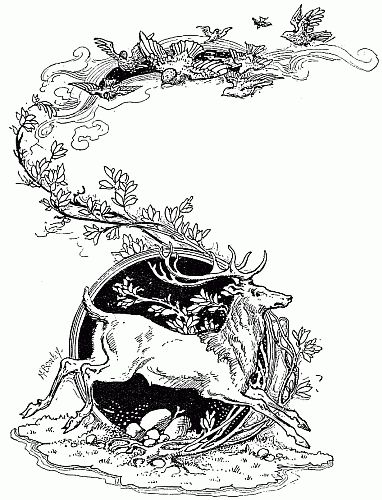 "Stag" from Royal Children of English History,  by E. Nesbit  Illustrated by Frances Brundage and M. Bowley. Birds Illustration, Deer Illustration, Japan Illustration, Fairytale Illustration, Vintage Fairies, English History, Antique Illustration, Vintage Illustrations, Bird Illustration