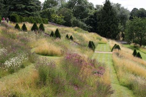 Formal Garden Design, Prairie Garden, Meadow Garden, Sloped Garden, Formal Garden, Grasses Garden, Have Inspiration, Formal Gardens, Ornamental Grasses