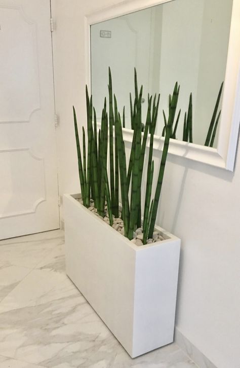 Highlighted by sleek lines & a smooth finish, the Milano Rectangular Planter is a popular model in our exclusive collection of garden pots and planters. Have an empty wall & you’re not sure how to fill it up? We think it’s easy to say we have your solution right here. #privacywall #gardening #landscaping #indoorplanter #outdoorplanter Long Entryway, Ingangs Decor, Rectangular Planter Box, Tanaman Indoor, Tanaman Pot, نباتات منزلية, Hal Decor, Gardening Landscaping, Rectangular Planters