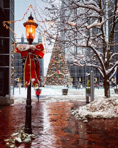 Christmas In Pittsburgh, Pittsburgh Christmas, Seasonal Affective, Christmas Bucket List, Christmas Bucket, Christmas Wallpapers, Merry Christmas Everyone, Have A Wonderful Day, Winter Wonder