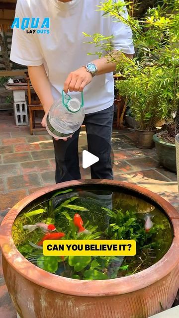 Aqua Layouts on Instagram: "Can you believe it ?#fish #fishtanks #fishtank #viral #fishlover #aquarium #aquariumfish #viralvideos #reels" Aquaponics Diy Indoor Fish Tanks, Aquarium Layout, Hydroponic Fish Tank, Fish Tank Garden, Fish Tank Ideas, Wall Aquarium, Diy Fish Tank, Aquascape Design, Aquaponics Fish