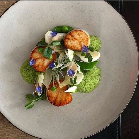 Seared scallops with spring onions & garden peas. A gorgeous dish uploaded by @danielhumm #gastroart Michelin Star Food Plating, Gastronomic Food, Caramelized Pineapple, Art Of Plating, Garden Peas, Coconut Sorbet, Gourmet Food Plating, Michelin Star Food, Honey Ginger